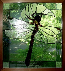 Dragonfly+wings